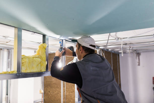 Best Residential Insulation in Wilson, AR