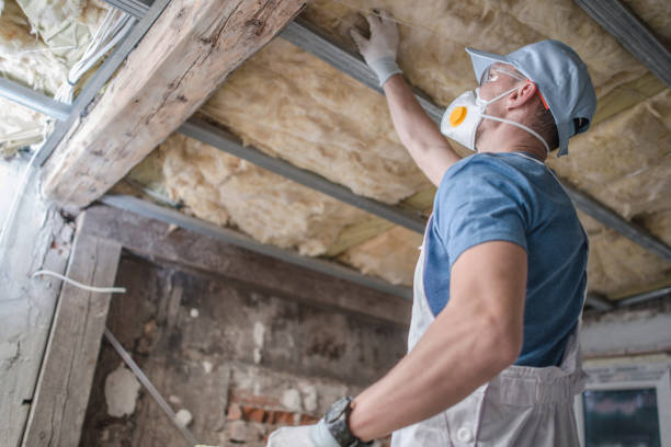 Best Cellulose Insulation in Wilson, AR