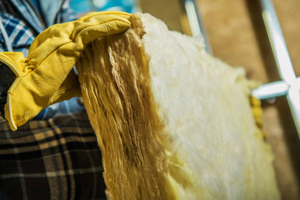 Best Spray Foam Insulation in Wilson, AR