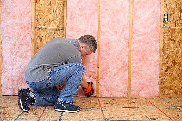 Best Geographic-Specific Insulation Services in Wilson, AR