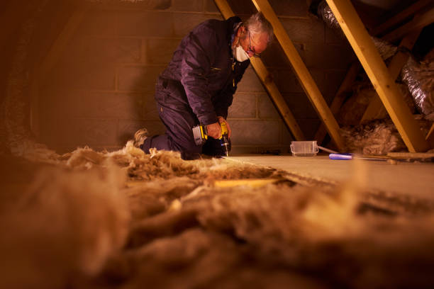 Best Energy Efficiency Insulation in Wilson, AR